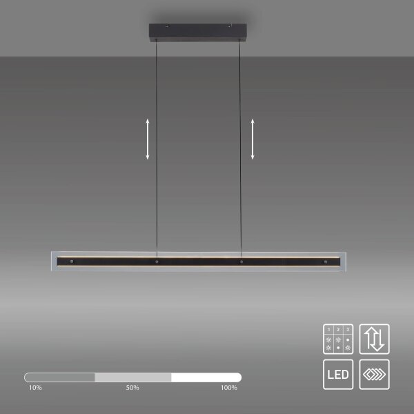 Schöner Wohnen LENA 11316-18 - Lustră LED reglabilă pe cablu, LED/32W/230V, negru