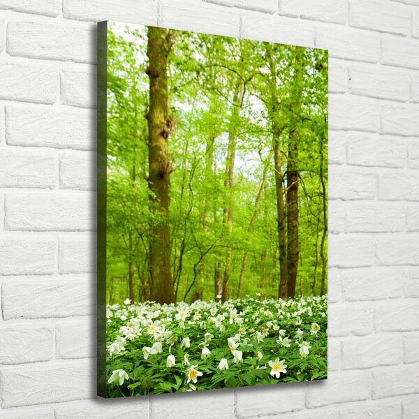 Tablou canvas Flori în pădure