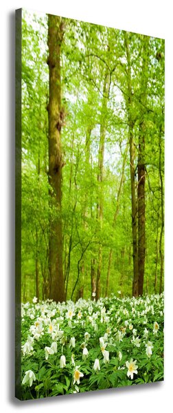 Tablou canvas Flori în pădure