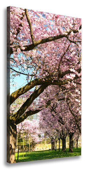Tablou canvas cires
