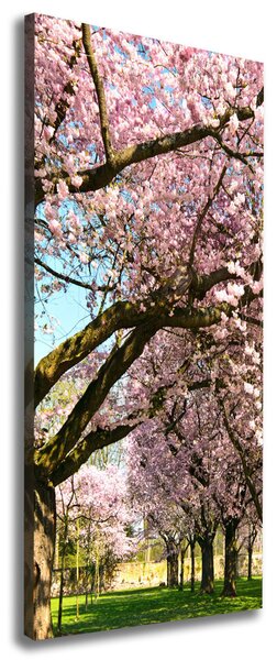 Tablou canvas cires