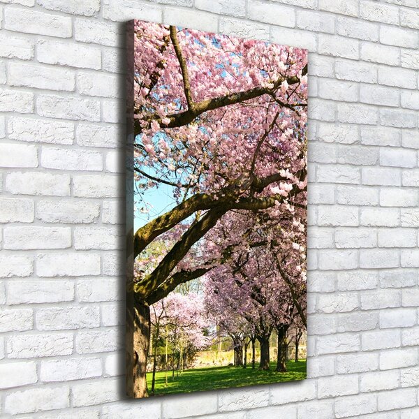 Tablou canvas cires