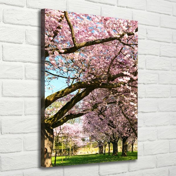 Tablou canvas cires