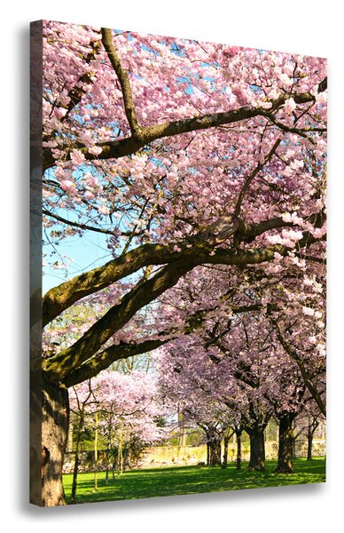 Tablou canvas cires