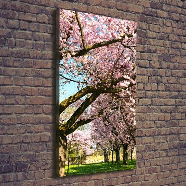 Tablou canvas cires