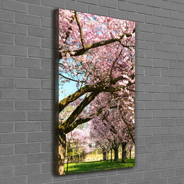 Tablou canvas cires