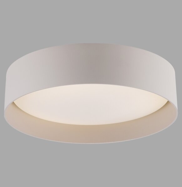 Schöner Wohnen 14593-39 - Plafonieră LED dimmabilă TAVOLI LED/10W/230V gri + telecomandă