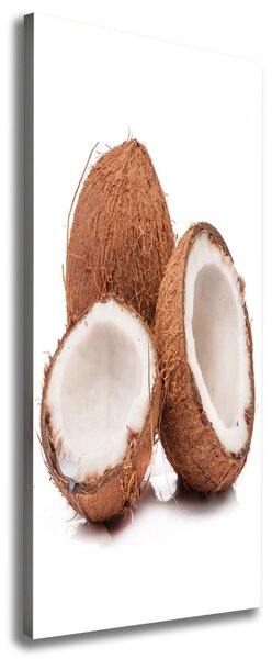 Print pe canvas nucă de cocos