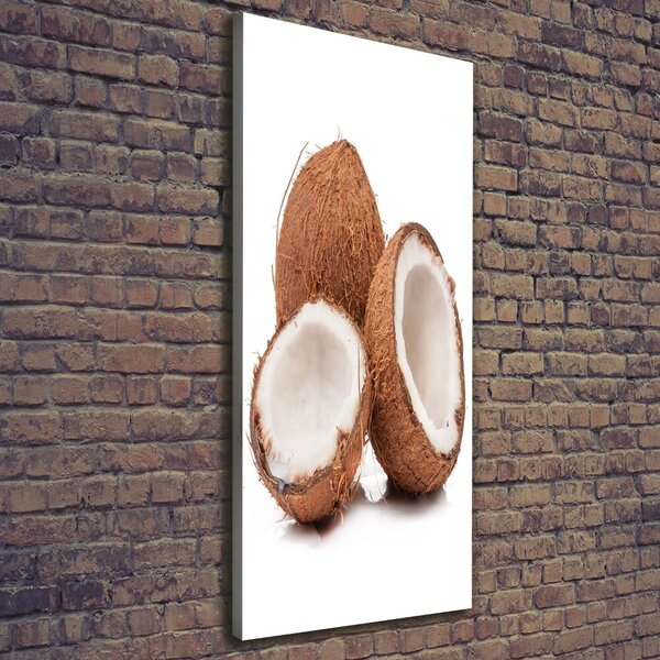 Print pe canvas nucă de cocos