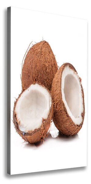Print pe canvas nucă de cocos