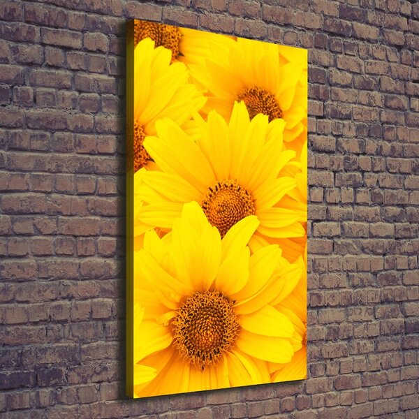 Tablou pe pânză canvas Floarea soarelui