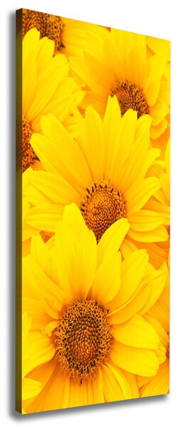 Tablou pe pânză canvas Floarea soarelui