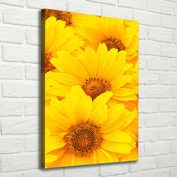 Tablou pe pânză canvas Floarea soarelui