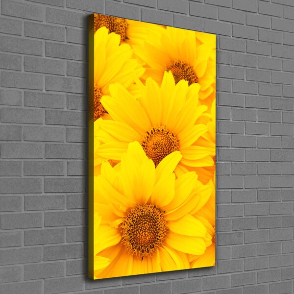 Tablou pe pânză canvas Floarea soarelui