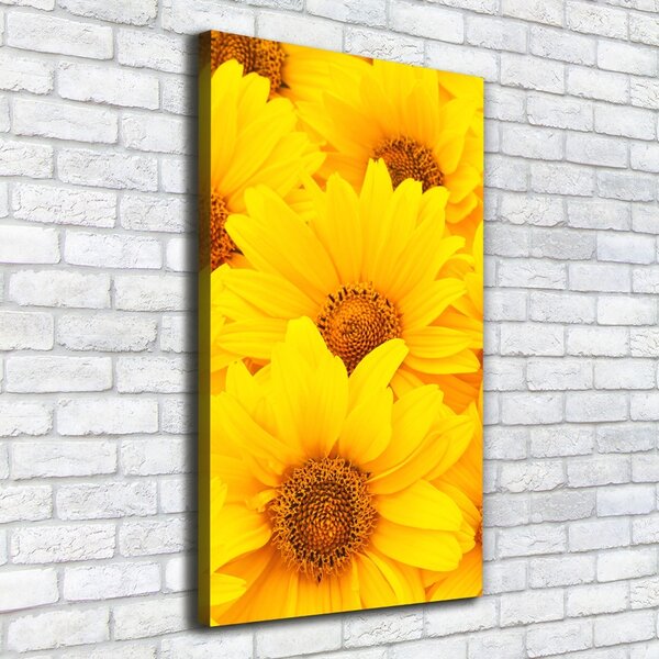 Tablou pe pânză canvas Floarea soarelui