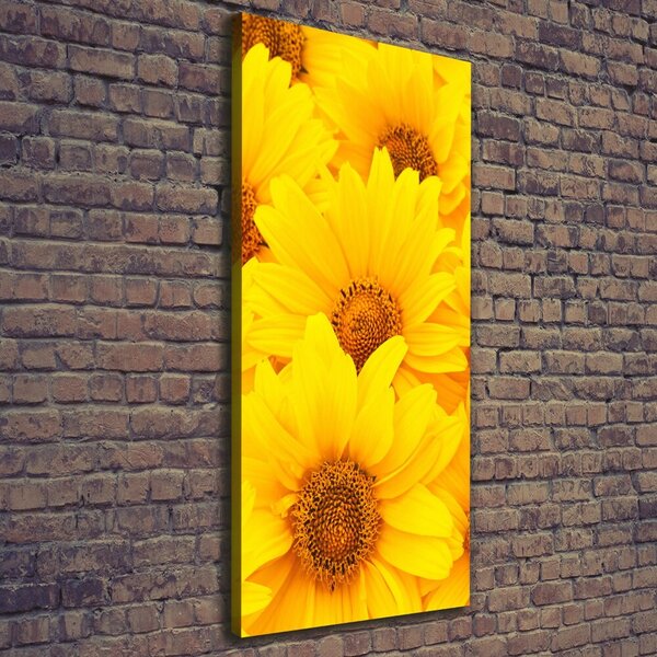 Tablou pe pânză canvas Floarea soarelui