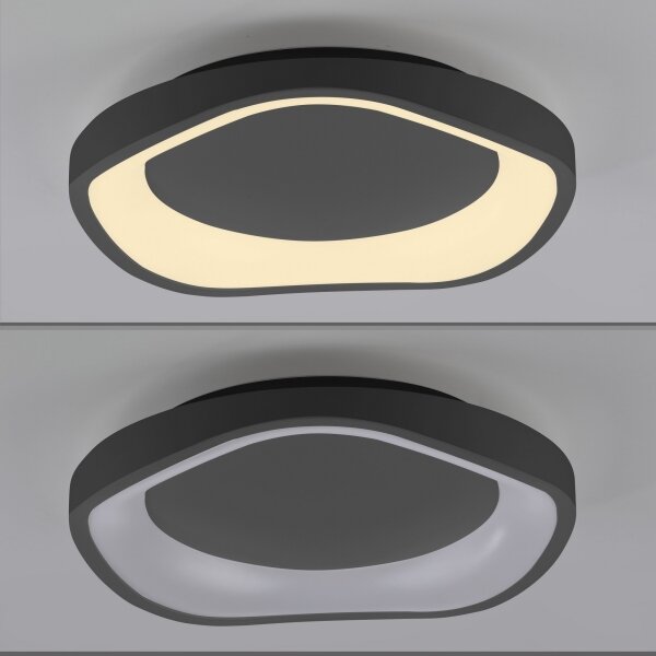 Schöner Wohnen 14233-18 - Lampă de tavan LED dimerizabilă MONTA LED/21W/230V neagră