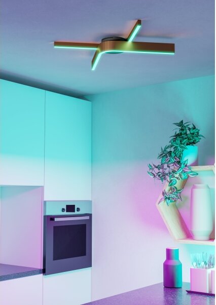 Eglo 901863 - Plafonieră LED RGBW FOLCINO-Z dimabilă, 2xLED/18W/230V, cupru/negru