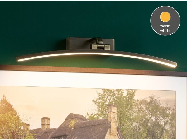 Paulmann 95561 - Lampă pentru tablouri BENTO LED/10W, 230V, 50 cm, alamă