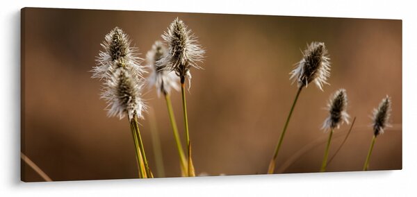 Tablou - Iarbă (120x50 cm)