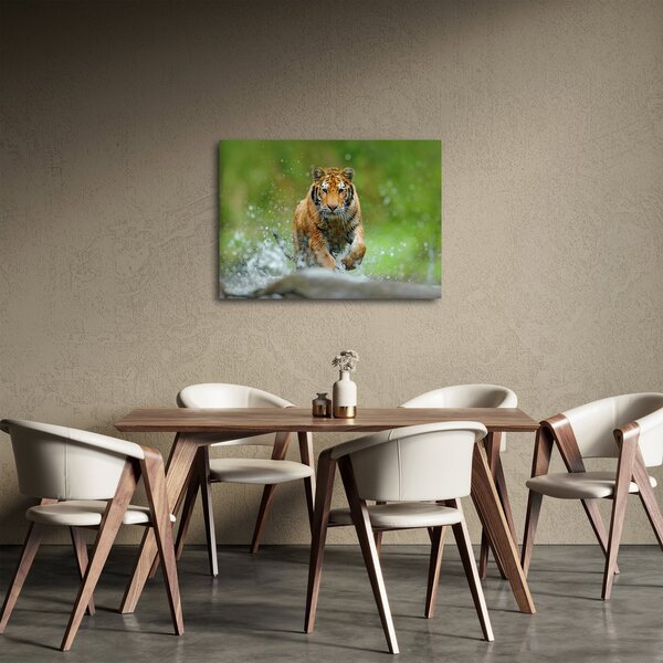 Tablou - Tigru care aleargă (70x50 cm)
