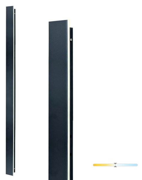 Aplică de perete LED pentru exterior MIRANA, 25W, 230V, 4000K, IP44, 120 cm, neagră
