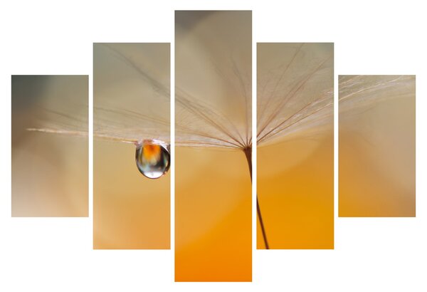 Tablou - Flori macro (150x105 cm)