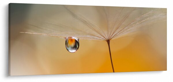 Tablou - Flori macro (120x50 cm)