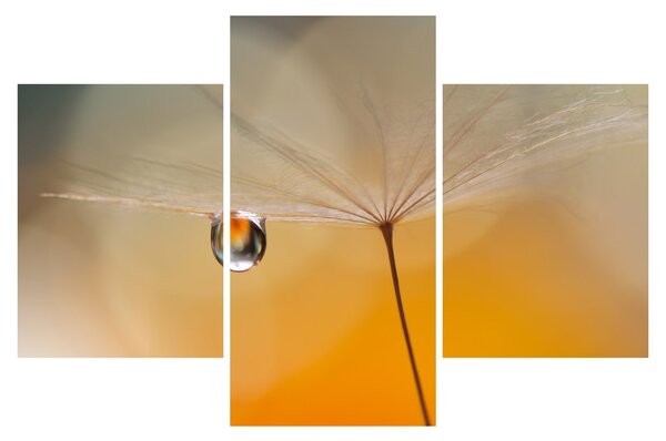 Tablou - Flori macro (90x60 cm)