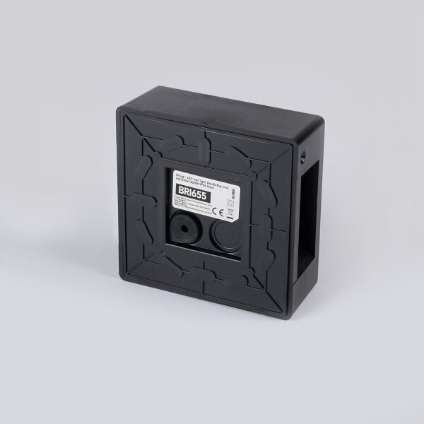 Brilagi - Aplica LED de exterior DOUBLERAY LINE, 6W/230V, negru, IP54