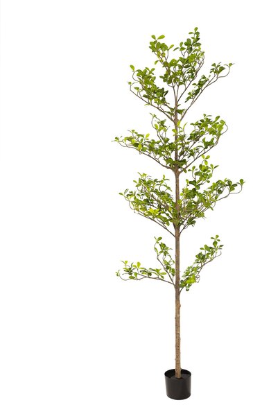 Arbore decorativ Verdis în ghiveci 200 cm
