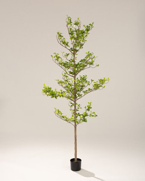 Arbore decorativ Verdis în ghiveci 200 cm