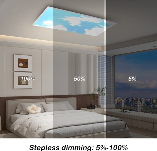 Brilagi -LED Plafonieră LED reglabilă SLIMFRAME SKY LED/80W/230V 120x60 cm argintiu/albastru+telecomandă