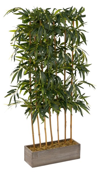 Bambus în jardinieră decorativă 155 cm