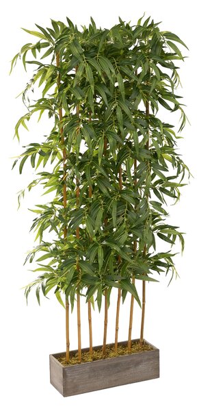 Bambus XL în jardinieră decorativă 190 cm