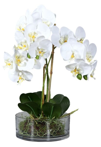 Orhidee artificiala Phalaenopsis alba cu aspect 100% natural in vas de sticla, 44 cm