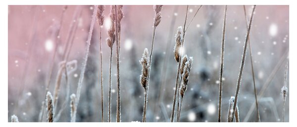 Tablou - Moment (120x50 cm)