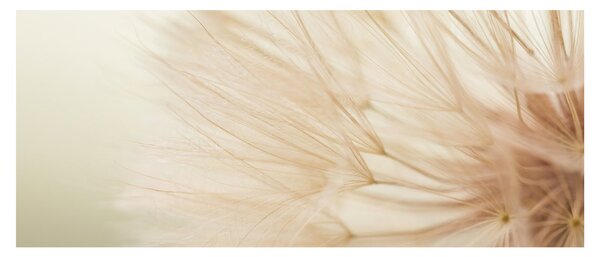 Tablou - Detaliu flori (120x50 cm)