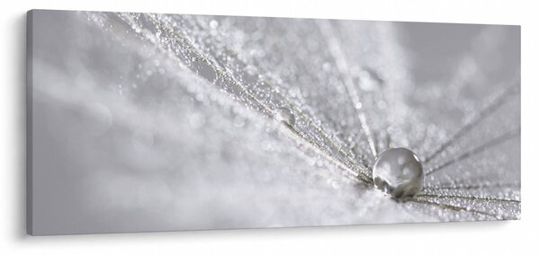 Tablou - Picătură de apă (120x50 cm)