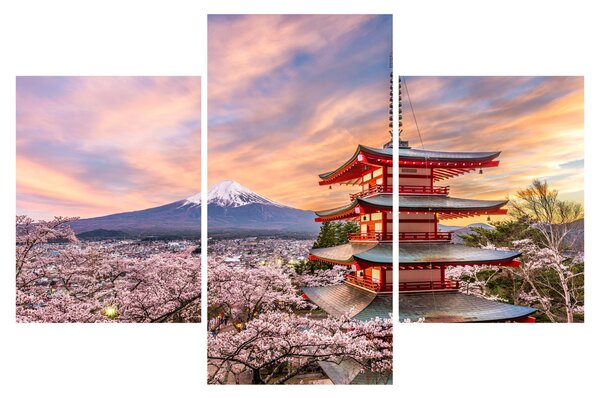 Tablou - Fuji,Japonia (90x60 cm)
