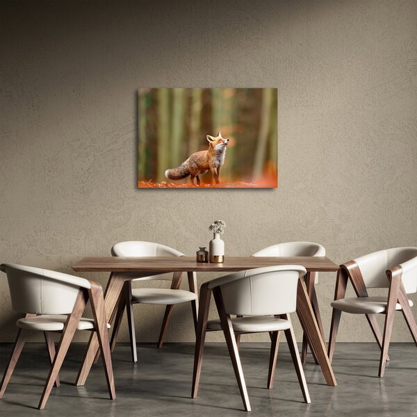 Tablou - Vulpe (70x50 cm)