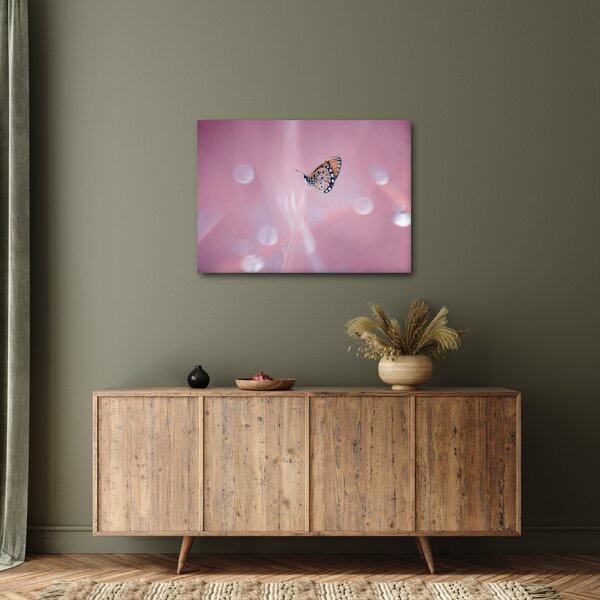 Tablou - Fluture (70x50 cm)
