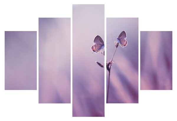 Tablou - Fluturi mov (150x105 cm)