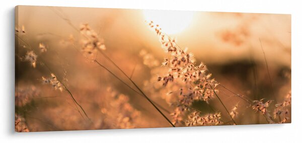 Tablou - Iarbă la soare (120x50 cm)