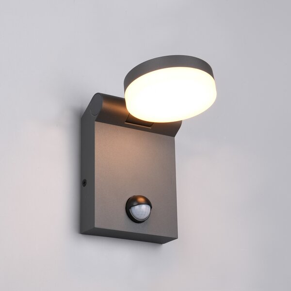 Trio Lighting Aplică de exterior cu LED Adour, antracit, senzor, înclinabil, CCT, Negru, Aluminiu, Modern