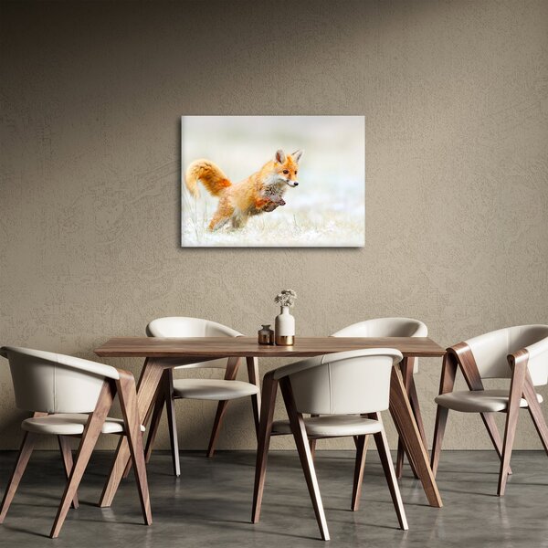Tablou - Vulpe care sare (70x50 cm)