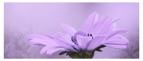 Tablou - Flori mov (120x50 cm)