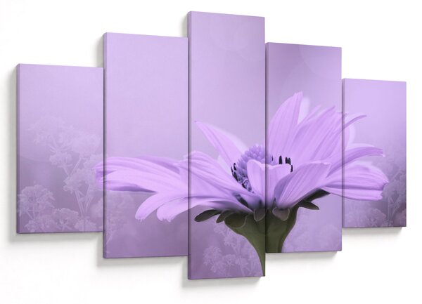 Tablou - Flori mov (150x105 cm)