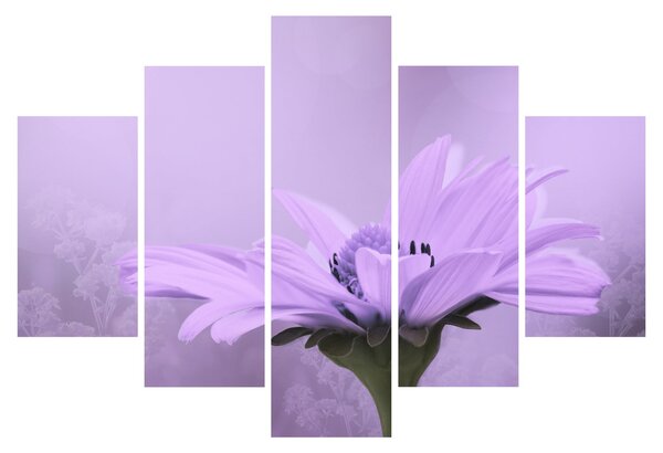 Tablou - Flori mov (150x105 cm)
