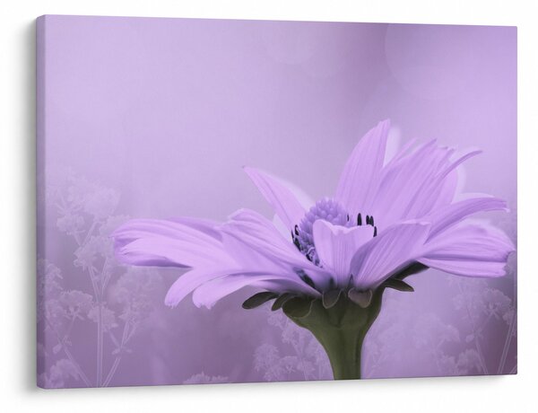 Tablou - Flori mov (70x50 cm)